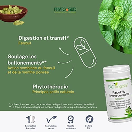 Phyto Sud Complexe Fenouil Bio 600 mg et Menthe Poivrée Bio 200 mg - Fenouil Gelules avec Menthe Poivrée pour Aider à la Digestion Difficile - 60 Gélules - Cure de 1 Mois - Fabriqué en France