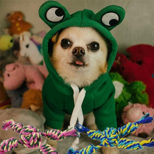 Grenouille sweat à capuche basique pour chien, Veste Chaude pour Animaux, Sweat à Capuche pour Chien, pour Chats Petits Chiens Moyens, Convient pour 12 à 16 livres, vert, XL