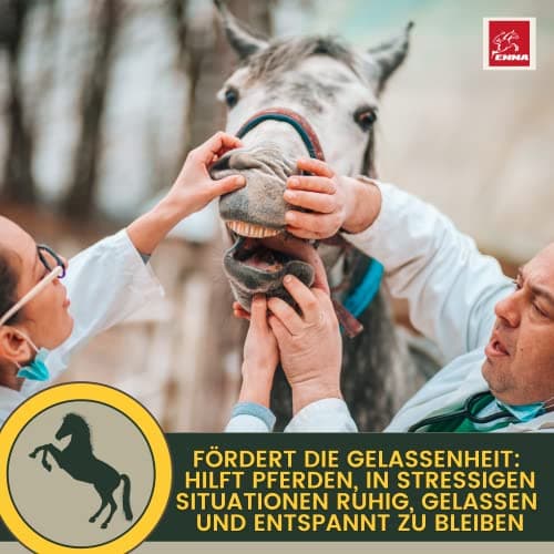 Magnésium Cheval Poudre - Calm Horse Relax Anti-Stress pour Calmer l'agitation I L-tryptophane Vitamine E - Magnésium pour Chevaux à Haute Dose Contre l'anxiété & Stress sérénité Cheval nerveux 1Kg