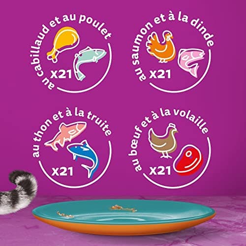 WHISKAS Repas pour Chat - 84 Sachets Fraîcheur de 85g - Pâtée pour Chat Adulte en Gelée - Duo Terre & Mer (4 Variétés) - Nourriture Humide Complète & Equilibrée, 84x85g