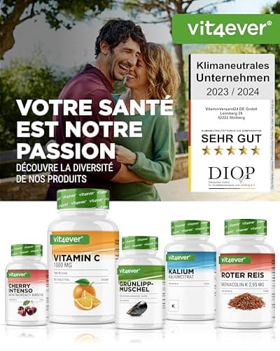 Ginkgo + Ginseng - 365 Comprimés - Extrait Spécial - Hautement Dosé - Ginkgo Biloba + Ginseng Coréen - Qualité Premium - Vegan