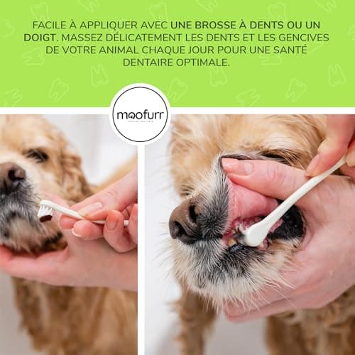 Moofurr Dentifrice Chien 75ml - Naturel Detartrage Dentaire Chien I anti Tartre I Dentifrice contre la Mauvaise Haleine Chien - Gel I Dentaire Chien avec Magnolia I sans saveur