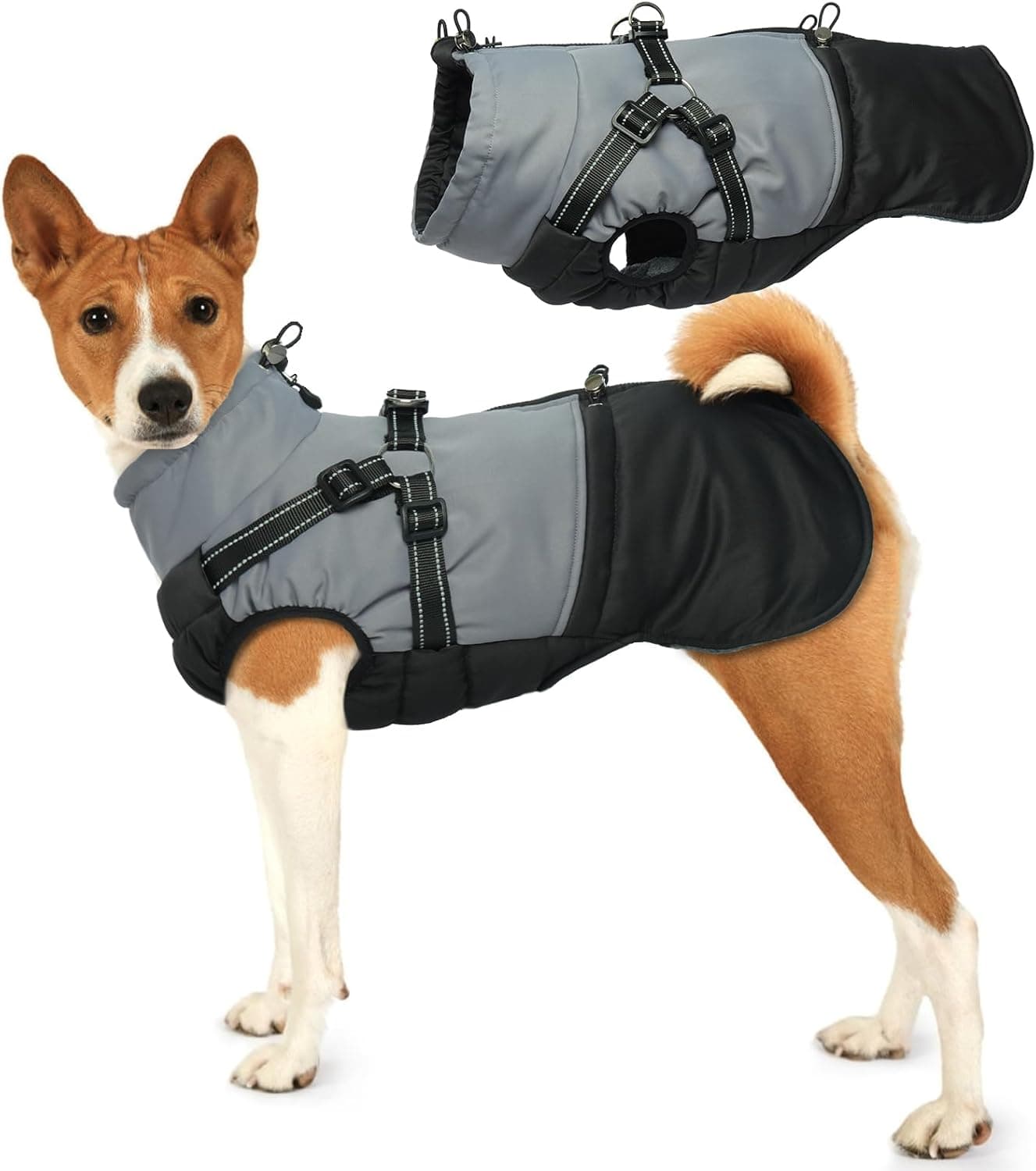 Manteau d'Hiver Imperméable pour Chiens - Veste avec Harnais pour Petite Taille, Yorkshire, Jack Russell - Noir M