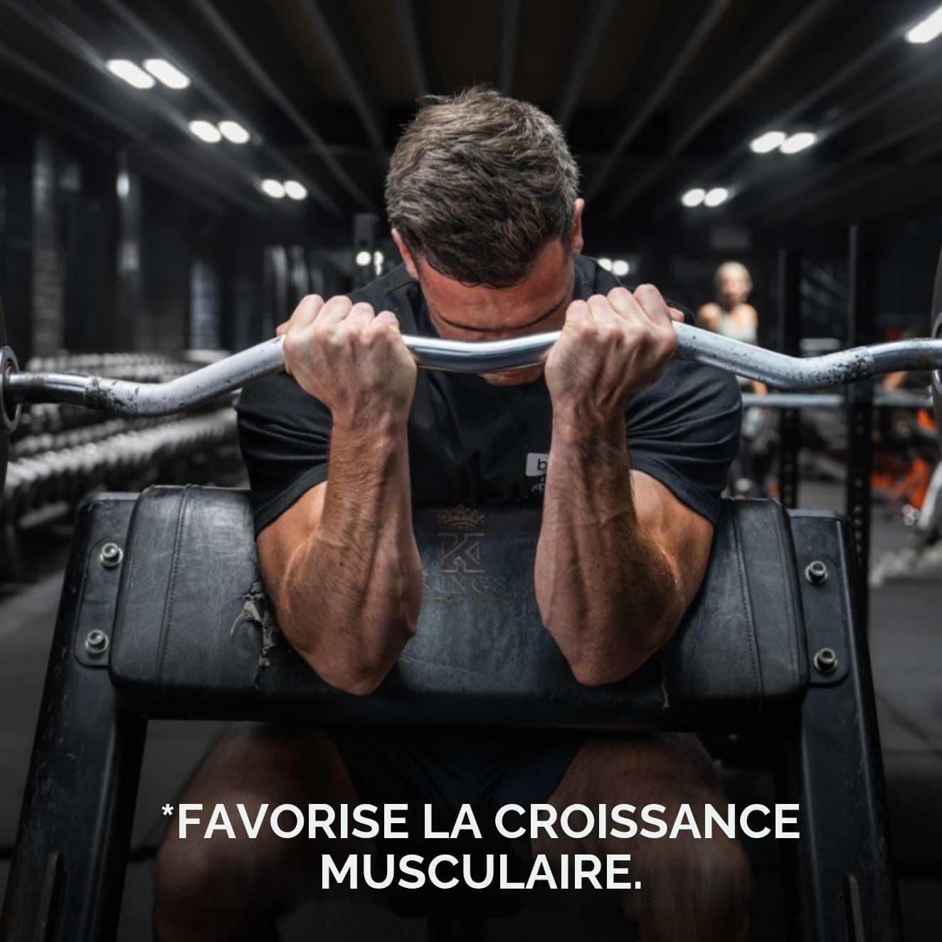 Bulk Protéines De Lactosérum Essentielles, Vanille, 1kg, 28 Portions, Lisse et onctueux, Idéal pour les shakes, Smoothies et pâtisseries, Les emballages peuvent varier