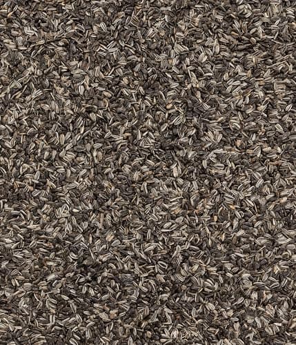 Dehner Natura Premium Nourriture pour Oiseaux Sauvages, graines de Tournesol Non décortiquées, en Seau, 5L (2.2 kg)