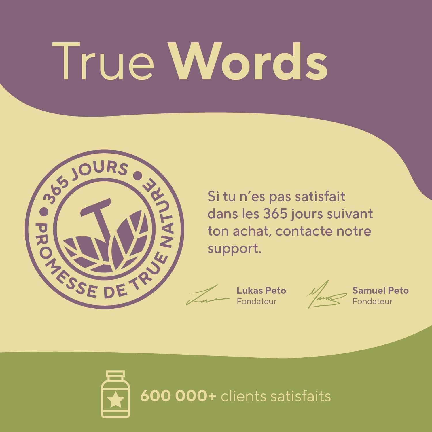 Extrait d'Artichaut Français - 2.400mg avec 2,5% Cynarine - 300 Gélules (2,5 mois) - Confort Digestif, Foie & Détox - Vegan - Sans: Additifs, Lactose & Gluten - TRUE NATURE