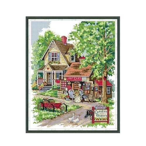 Cleana Arts Kits de Point de Croix Estampillés Gamme Complète de kits de Démarrage de Broderie pour Débutants DIY 14CT 2 brins-Charmante Campagne 36cm×44cm