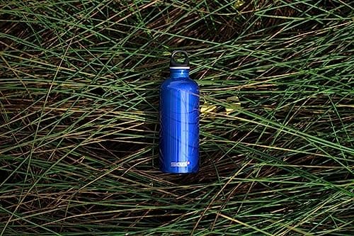 Sigg Traveller Bouteille Réutilisable, Bouteille Hermétique Sans Substances Nocives, Bouteille en Aluminium Ultra-Légère, Bouchon à Vis