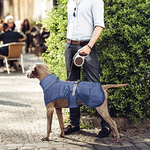 Dolahovy Veste d'hiver pour Chien Manteau Chaud pour Chien Vêtements pour Chiens Ajustables Gilet réfléchissant pour Animaux avec Anneau en D pour Chiens Moyens Grands Extérieur (4XL, Bleu Marine)