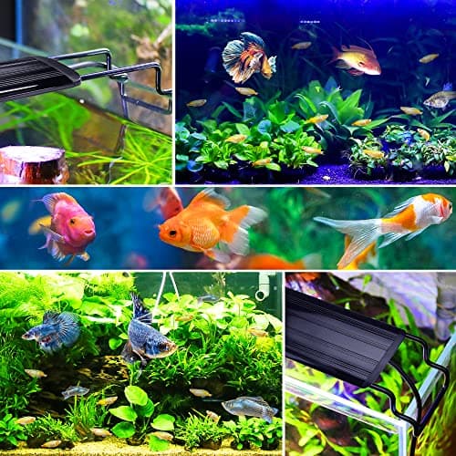 BELLALICHT Éclairage Aquarium, Rampe LED d’Aquarium Spectre Complet avec Contrôleur, 10 Niveaux de Luminosité Réglables, Minuterie réglable 6/10/12 Heures.