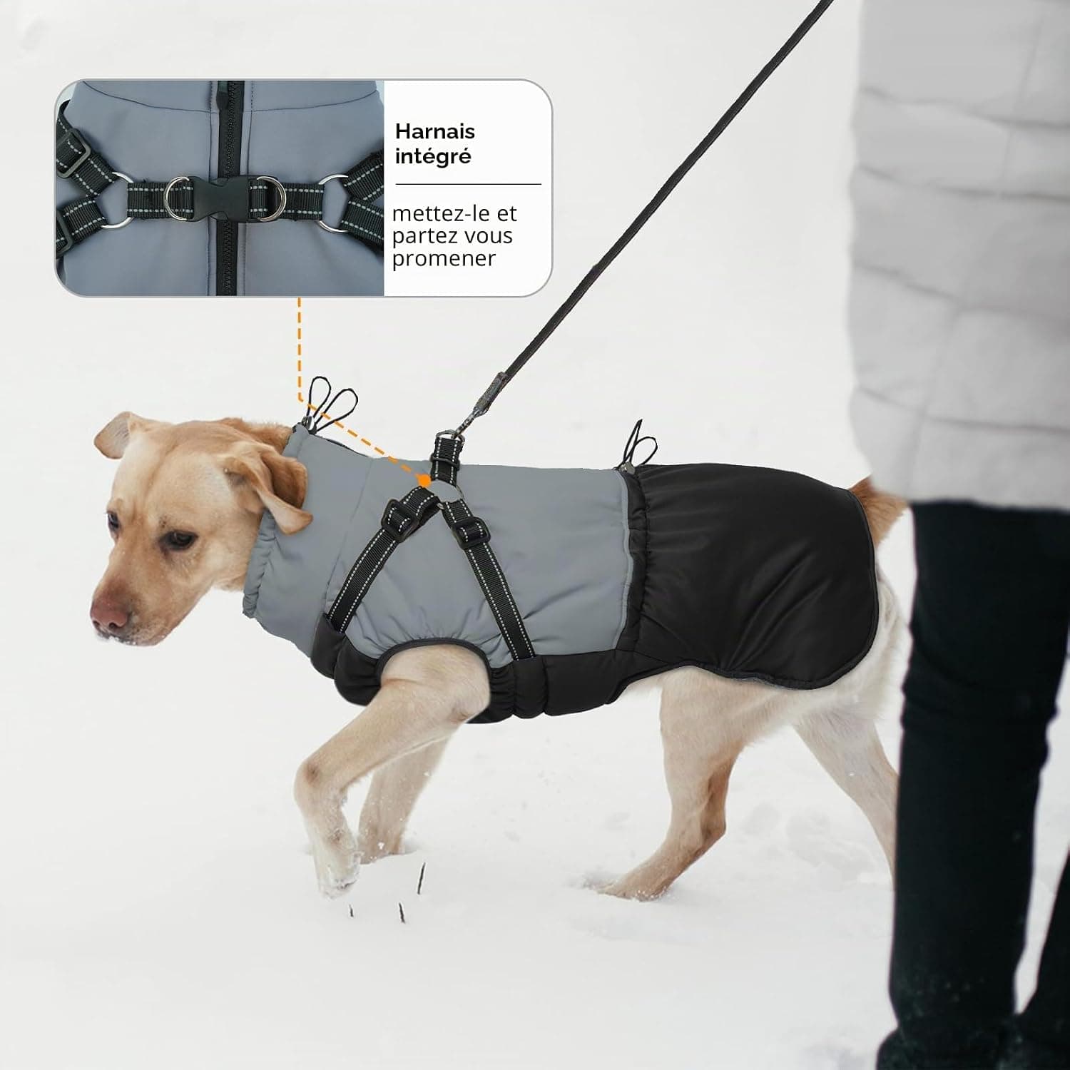 Manteau d'Hiver Imperméable pour Chiens - Veste avec Harnais pour Petite Taille, Yorkshire, Jack Russell - Noir M