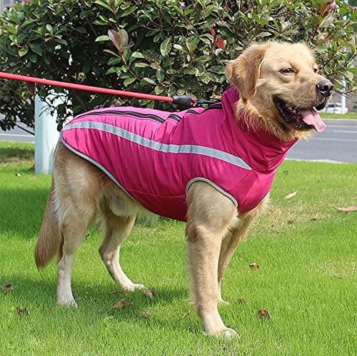 Idepet Manteau de Chien imperméable Veste Chaude d'hiver, vêtements pour Animaux de Compagnie Coupe-Vent Tenue de Veste de Chien pour Petits Chiens de Taille Moyenne avec Trou de Harnais XL-6XL
