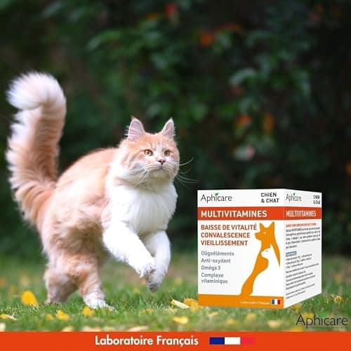 Aphicare - Vitalité - Complexe multivitaminés -Poudre 100 GR - Vitamines - Oligoéléments - Complément Alimentaire Chien et Chat - Fabriqué en France