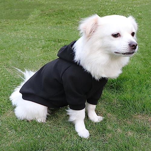 HuaLiSiJi Sweat Capuche Chien Sweat Chien Pull Petit Chien Confortable, Chaud et Léger, Le Tissu Est St Super Doux, Elastique Facile à Porter, Couleurs Vive (Medium, Noir)