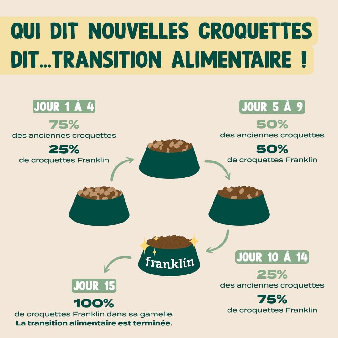 FRANKLIN – Croquettes Chat Stérilisé – 70% de Dinde et de Canard – 1 kg | Sans Céréales – Riche en Protéines – Contrôle du poids – Anti-boules de Poil – Taille 9 mm – Fermeture Intégrée