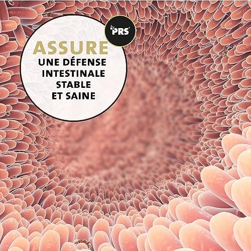 Peticare vermifuge poudre pour chiens | Cure contre les vers efficace à base de plantes | préventif & aigu | Remède comme complément alimentaire avec des ingrédients 100% naturels | petDog Health 2605