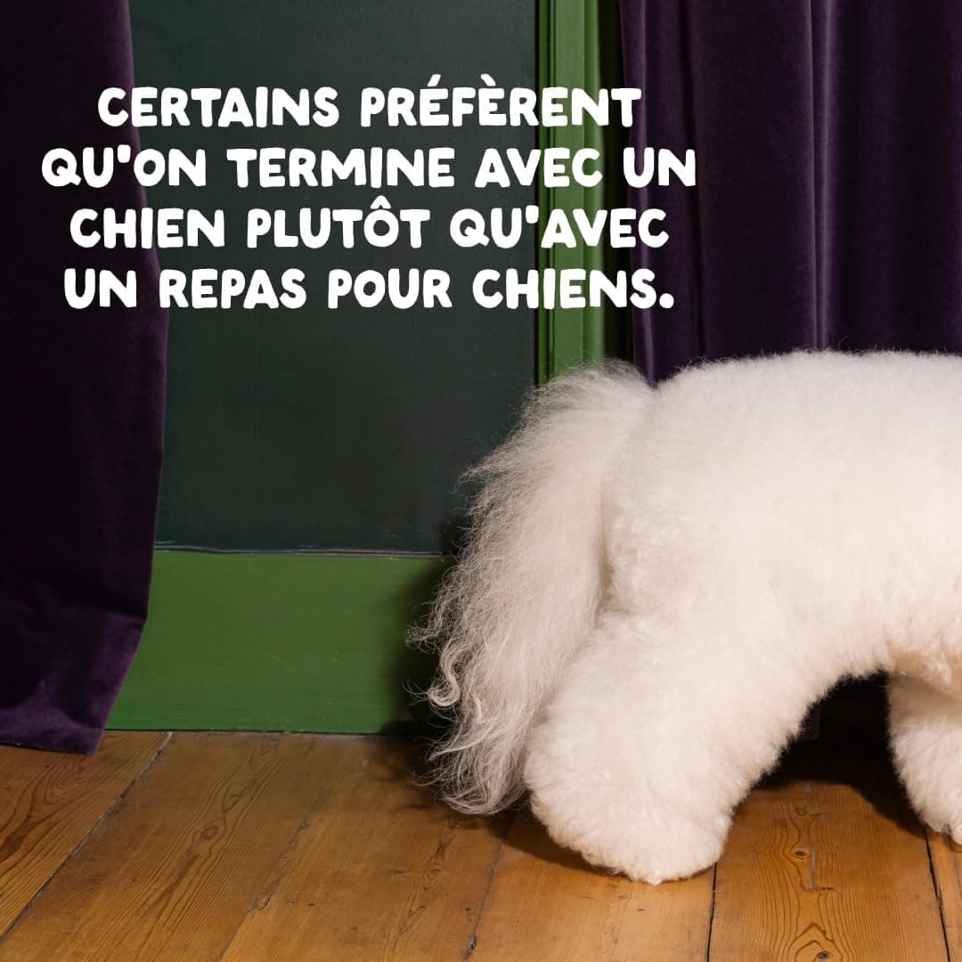 Edgard & Cooper Croquettes Chien Senior, (Poulet & Saumon, 2.5kg), Viande et poisson frais et protéines de qualité, Vrais ingrédients pour chiens, Hypoallergénique, Sans sucres ajoutés