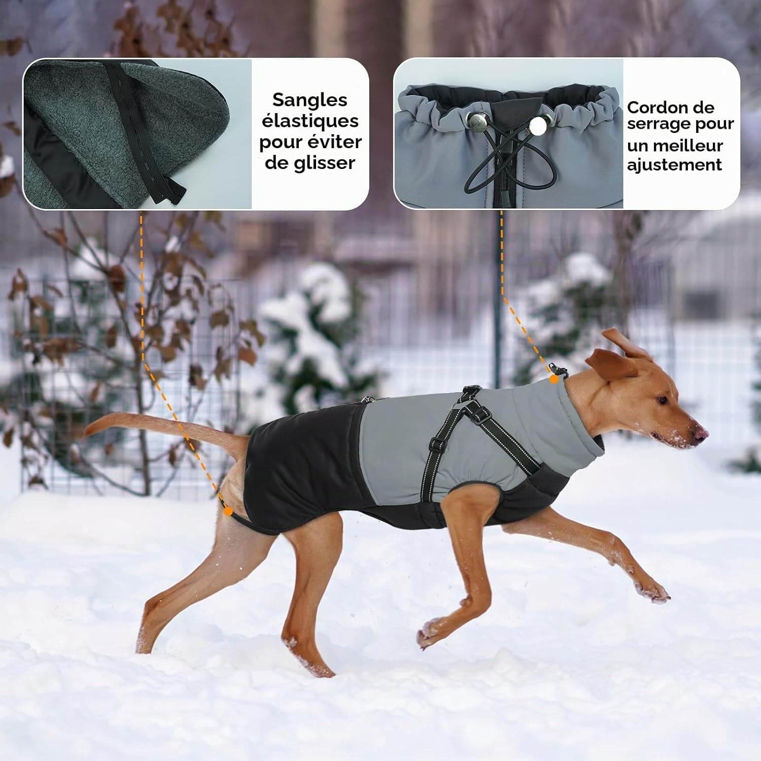 Manteau d'Hiver Imperméable pour Chiens - Veste avec Harnais pour Petite Taille, Yorkshire, Jack Russell - Noir M