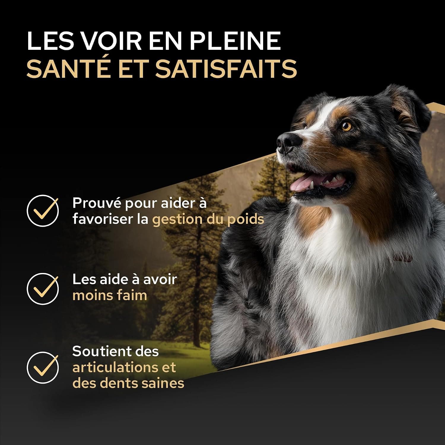 Purina Pro Plan Adult Light Sterilised Chien, Poulet - 3 kg