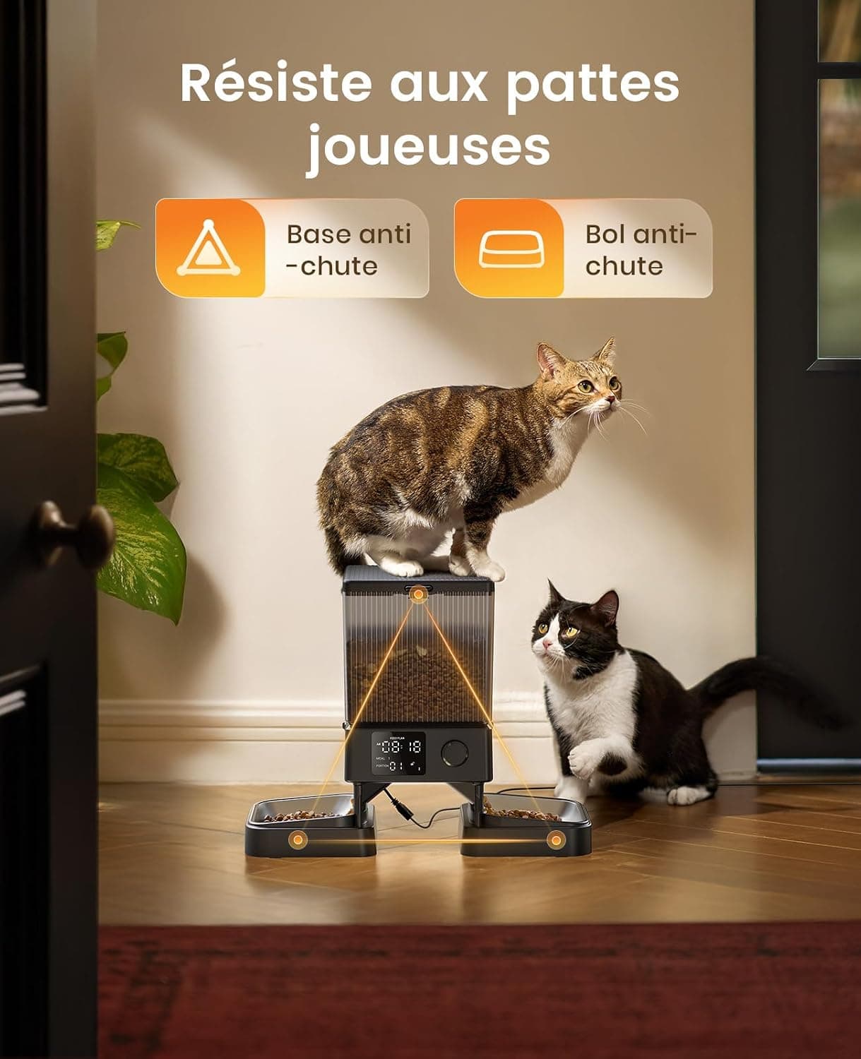 oneisall 5L Distributeur Croquettes Chat Automatique Double, 2 Bols INOX | Distributeur de Nourriture Programmable pour Chat/Chien, Enregistrement Vocal, Mangeoire Automatique à un Bouton Usage Facile