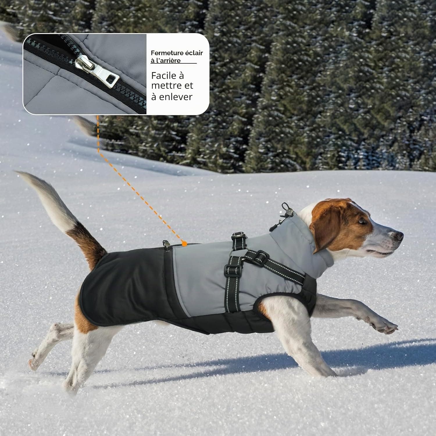 Manteau d'Hiver Imperméable pour Chiens - Veste avec Harnais pour Petite Taille, Yorkshire, Jack Russell - Noir M
