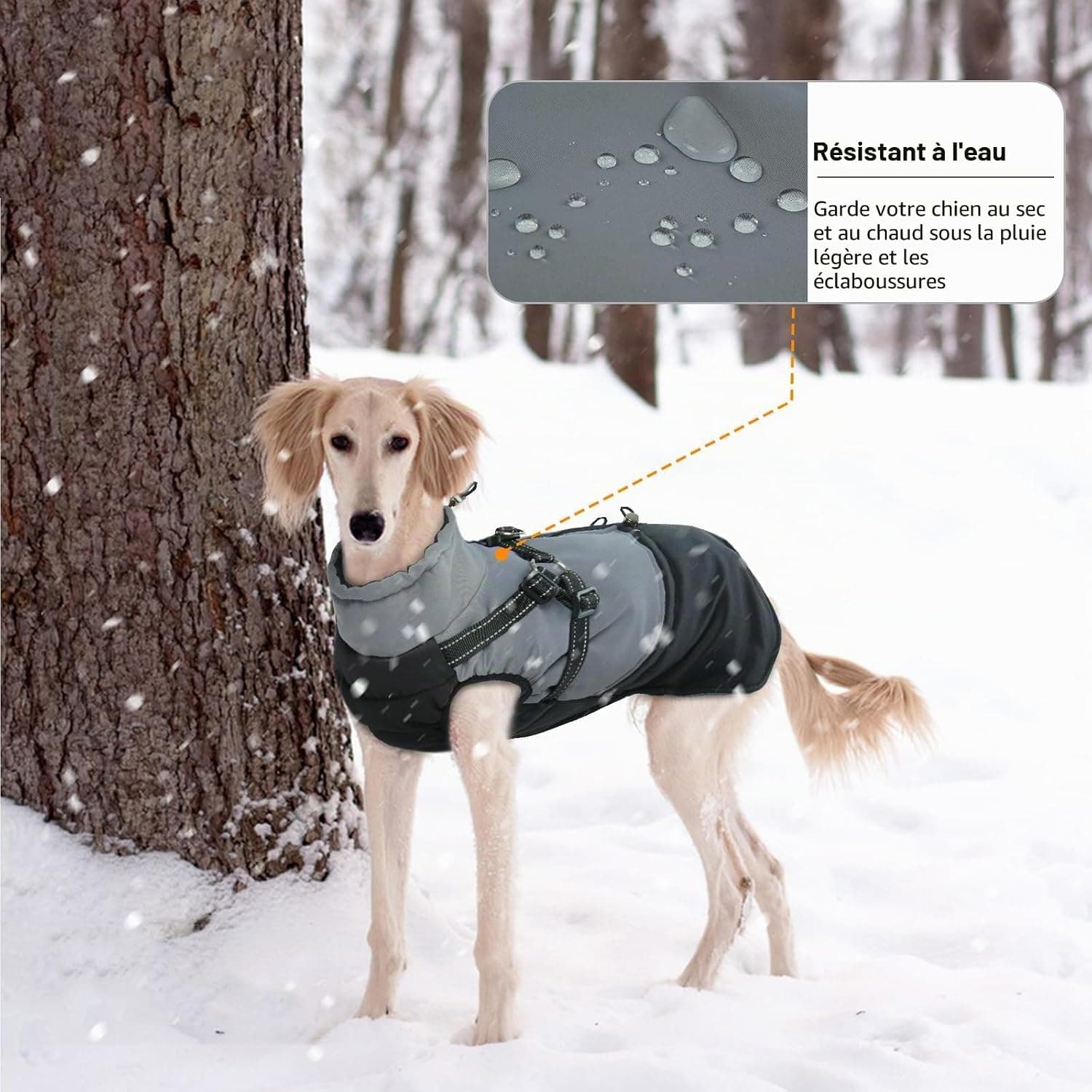 Manteau d'Hiver Imperméable pour Chiens - Veste avec Harnais pour Petite Taille, Yorkshire, Jack Russell - Noir M