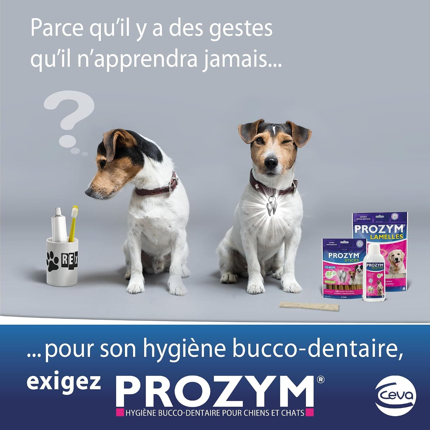 PROZYM RF2 Sticks x12 - Spéciale Hygiène Dentaire Naturelle - Recommandé par des Vétérianire - Formule Vegan pour Chien -25kg (blé)
