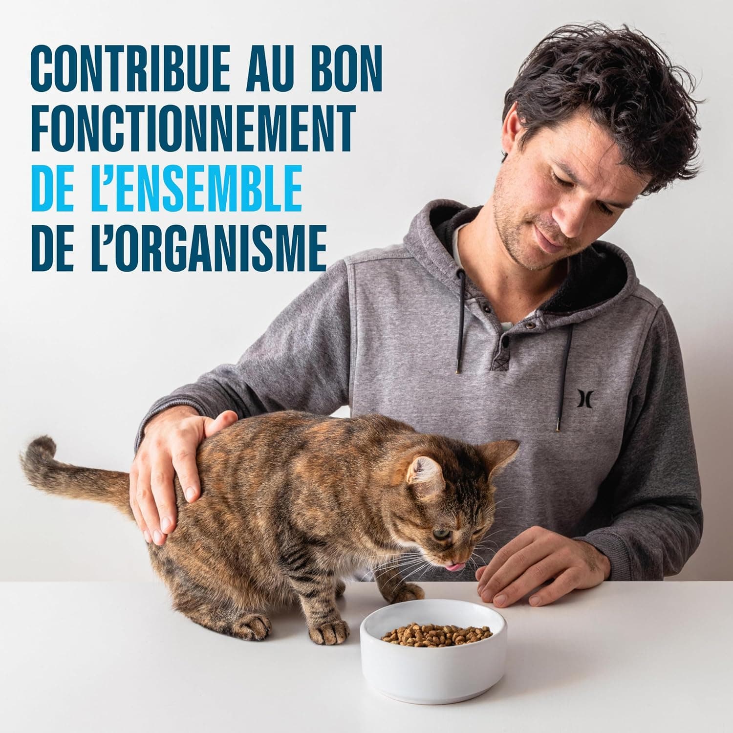 Adult 1+ Croquettes pour Chat 5 x 1,4 kg Bœuf (Pack de 5)