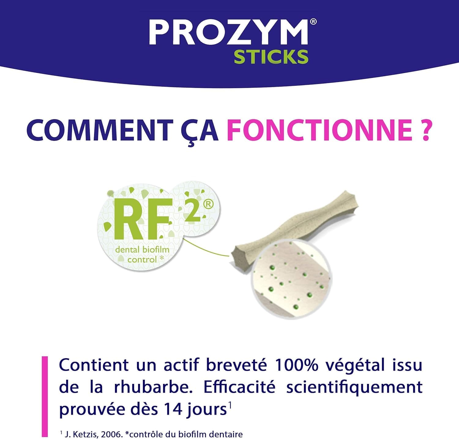 PROZYM RF2 Sticks x12 - Spéciale Hygiène Dentaire Naturelle - Recommandé par des Vétérianire - Formule Vegan pour Chien -25kg (blé)