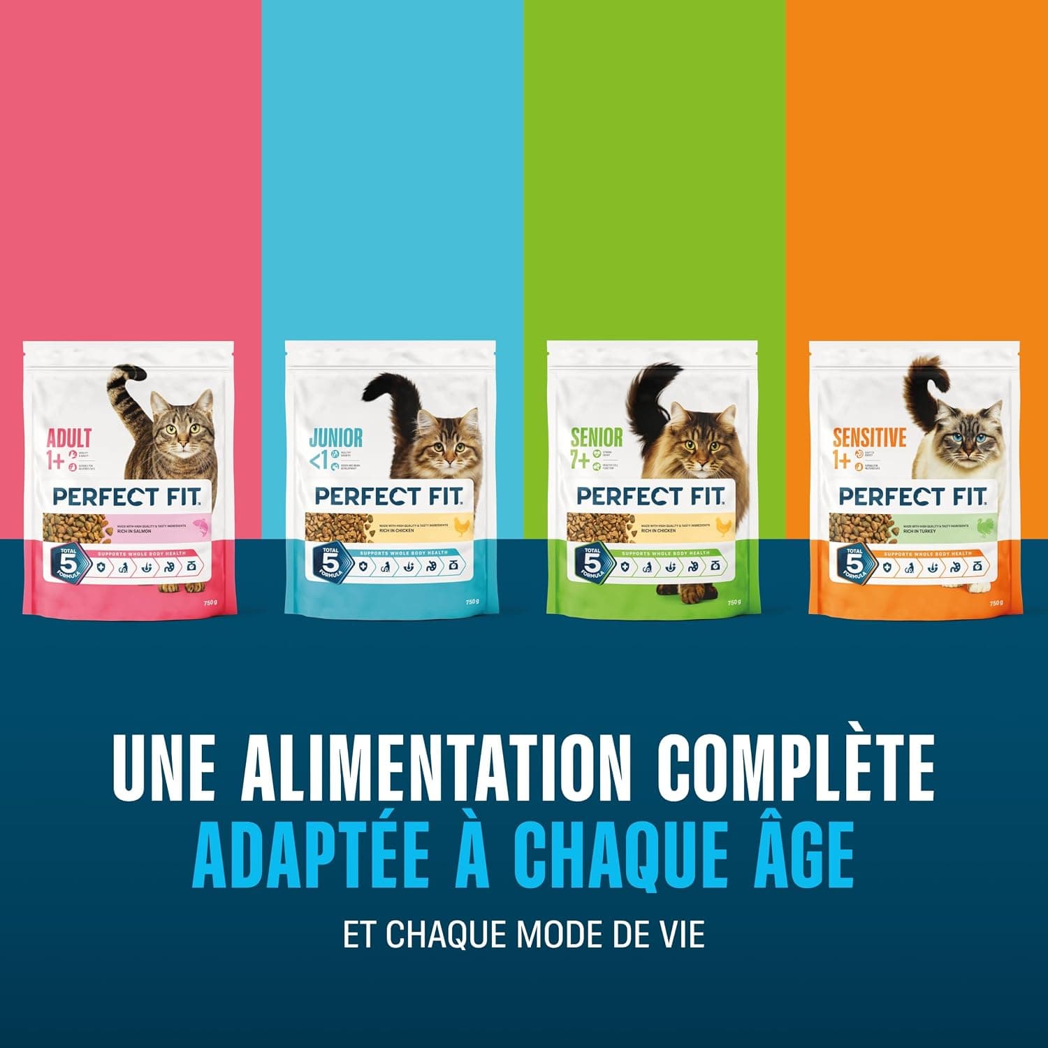 Adult 1+ Croquettes pour Chat 5 x 1,4 kg Bœuf (Pack de 5)