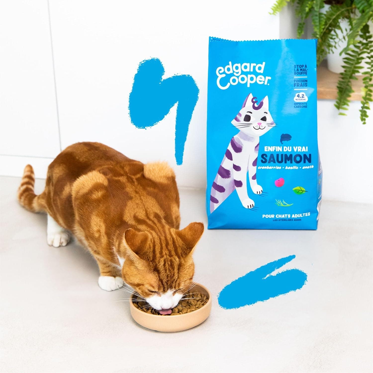 Edgard Cooper Croquettes pour Chat Stérilisé, Adulte, Saumon 4kg, Sans céréales, Viande fraîche, Nourriture naturelle, Croquette Riche en protéines, Sans sucres ajoutés
