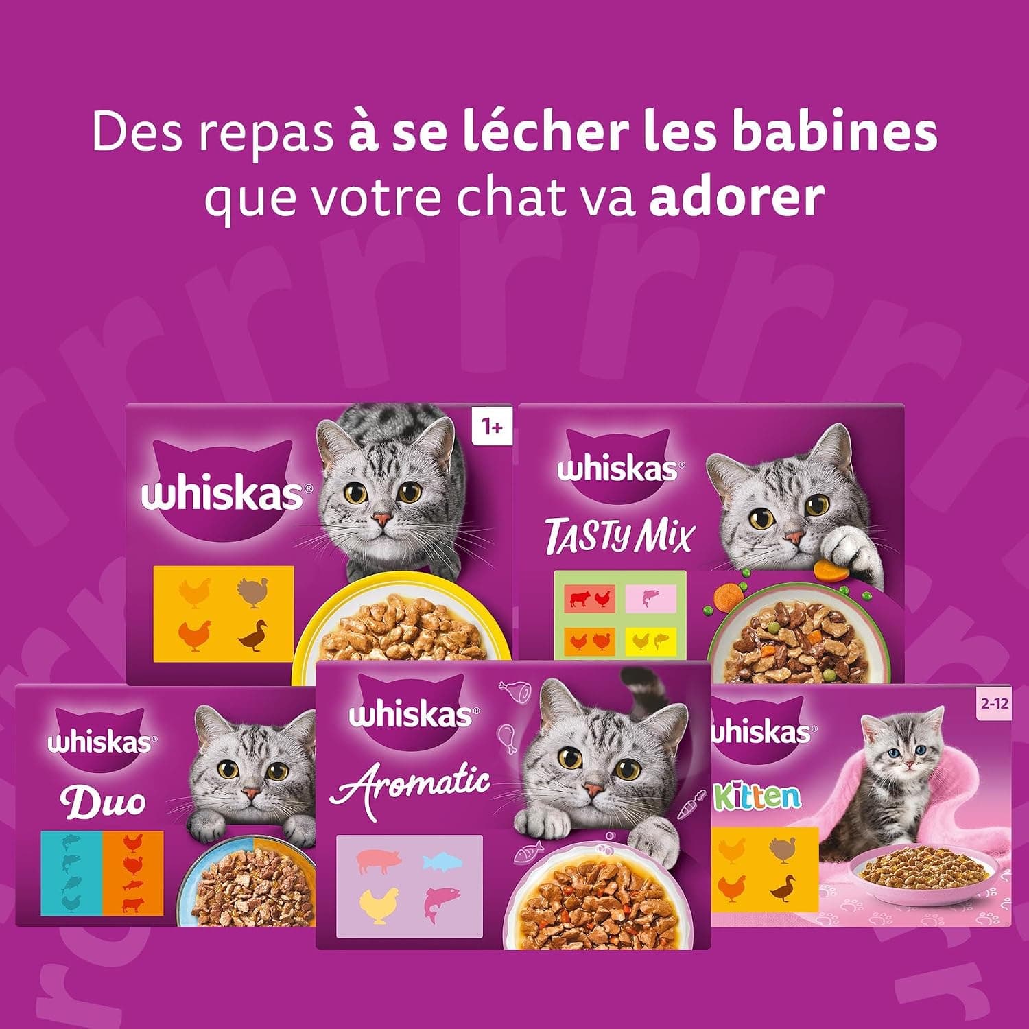 WHISKAS Repas pour Chat - 84 Sachets Fraîcheur de 85g - Pâtée pour Chat Adulte en Sauce - Tasty Mix Recettes de Campagne (4 Variétés) – Nourriture Humide Complète & Equilibrée, 84x85g
