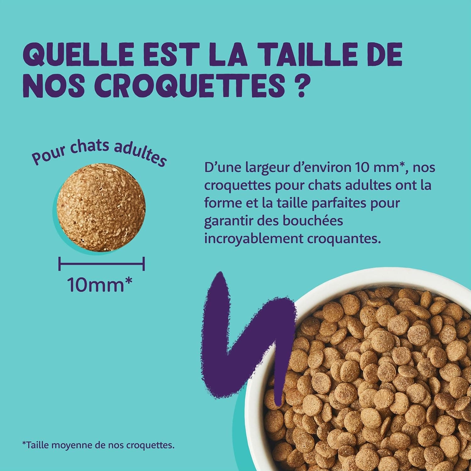 Edgard Cooper Croquettes pour Chat Stérilisé, Adulte, Saumon 4kg, Sans céréales, Viande fraîche, Nourriture naturelle, Croquette Riche en protéines, Sans sucres ajoutés
