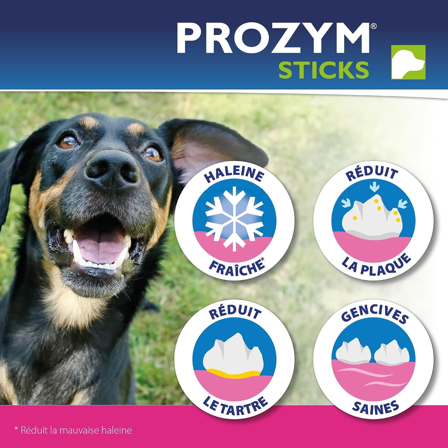 PROZYM RF2 Sticks x12 - Spéciale Hygiène Dentaire Naturelle - Recommandé par des Vétérianire - Formule Vegan pour Chien -25kg (blé)