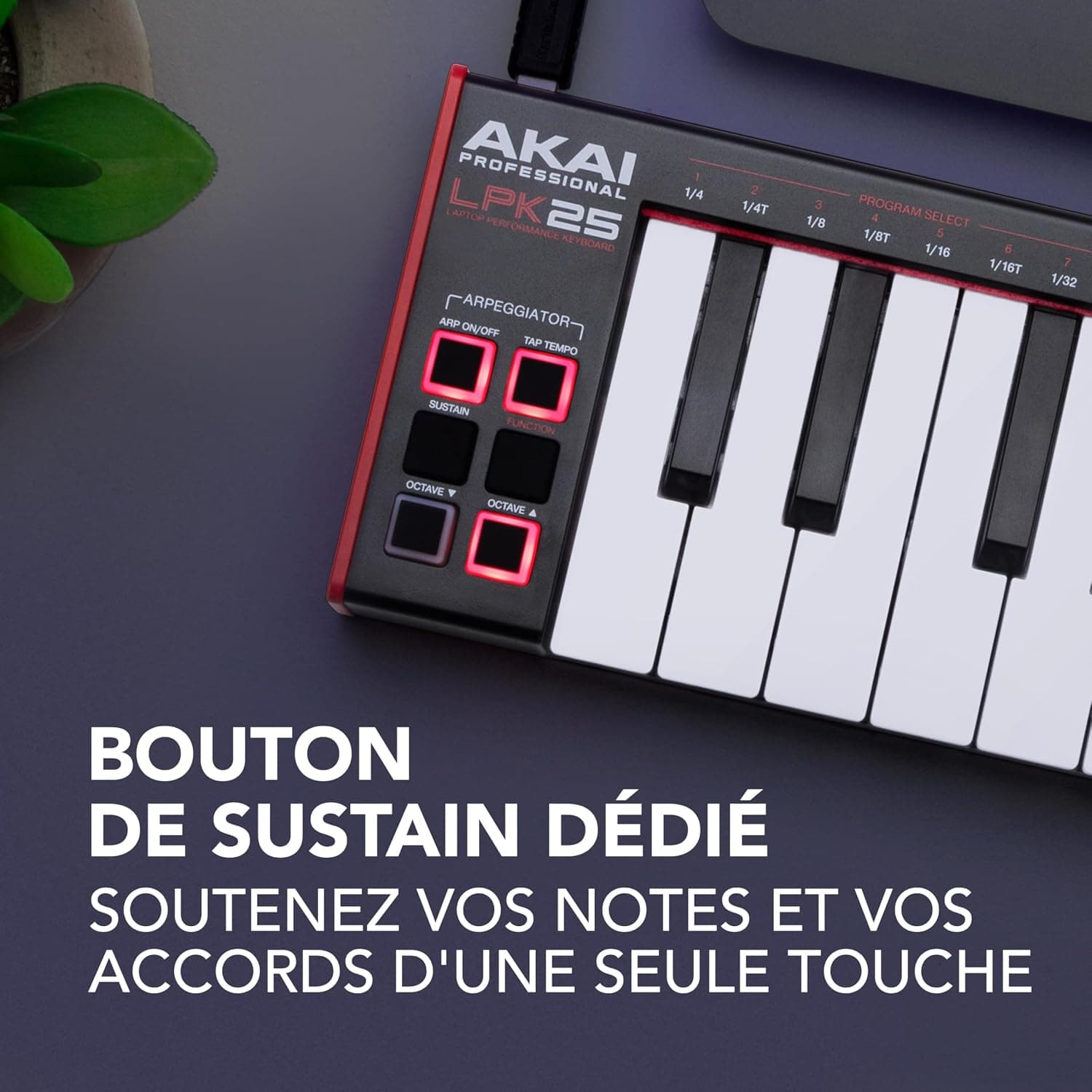 Akai Professional LPK25 Clavier MIDI USB 25 Touches | Touches Mini Sensibles à la Vélocité, Arpégiateur, Compatibilité DAW Universelle, pour Producteurs de Musique