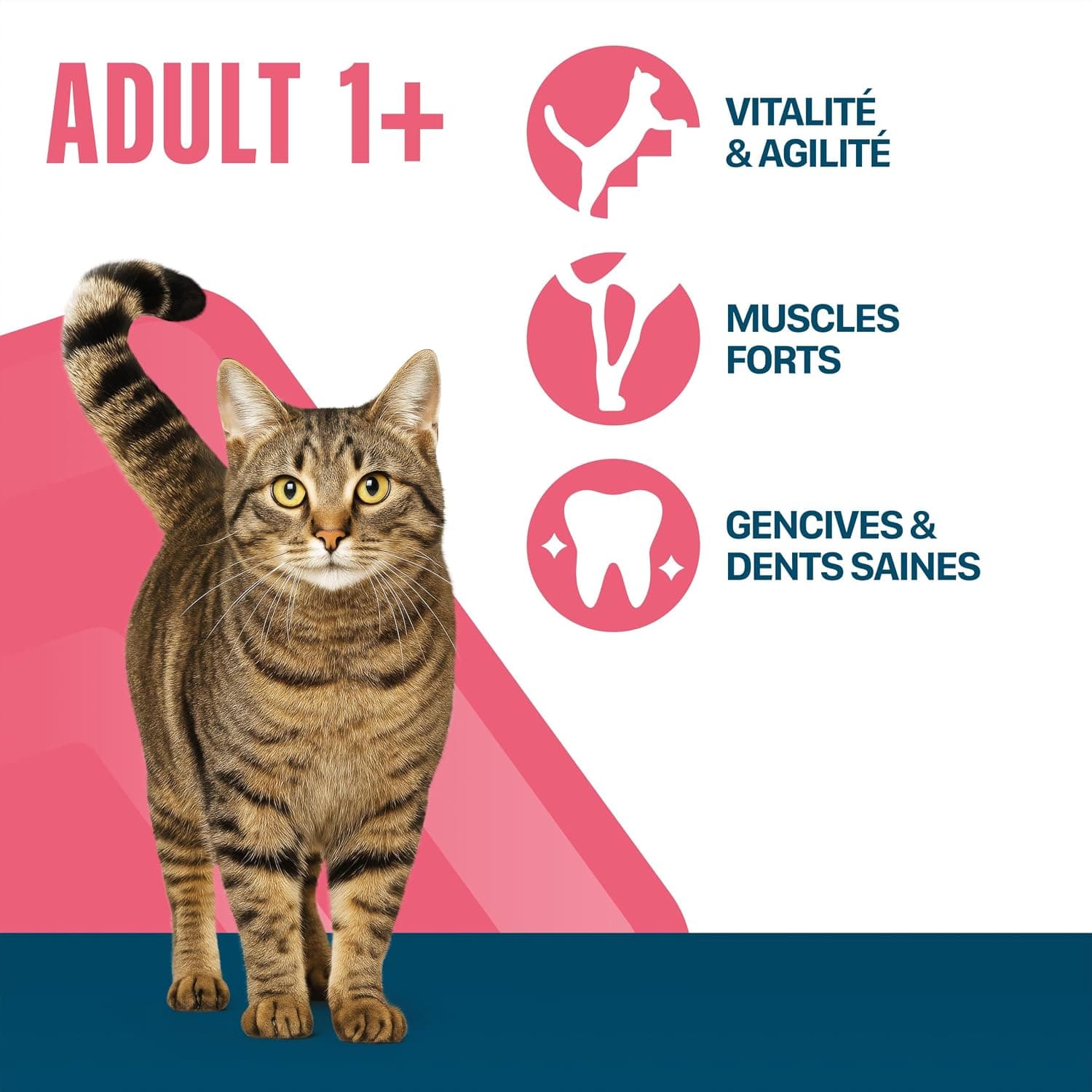 Adult 1+ Croquettes pour Chat 5 x 1,4 kg Bœuf (Pack de 5)