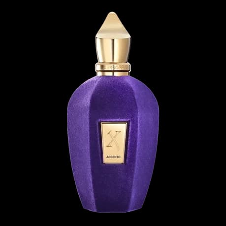 Accent 100 ml
