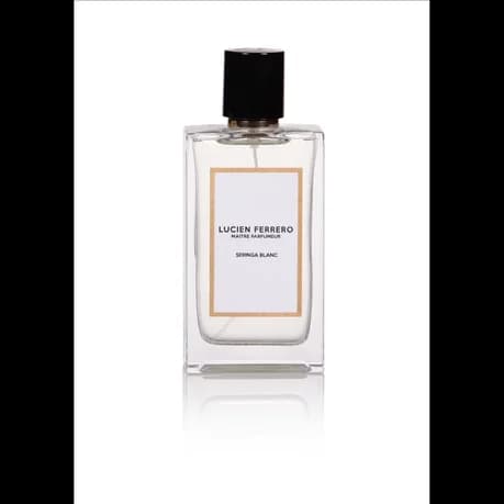Seringa Blanc 100 ml