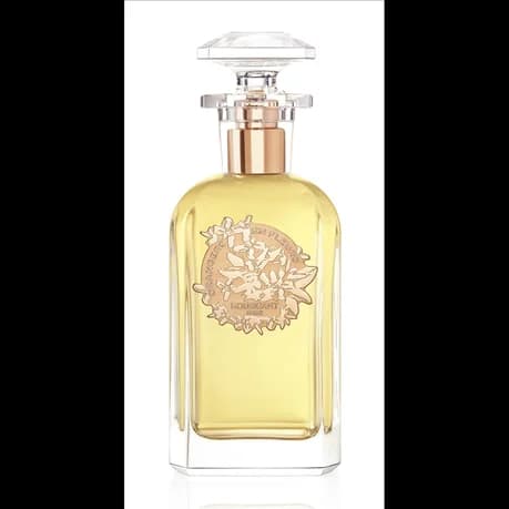Orangeurs En Fleurs 100 ml
