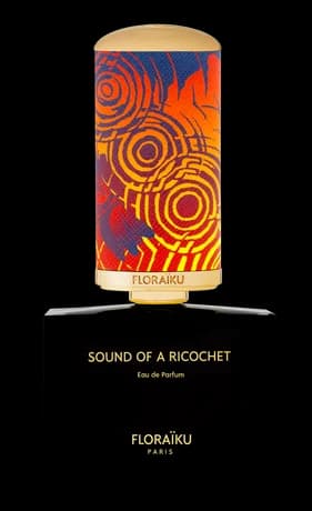 Sound of a Ricochet