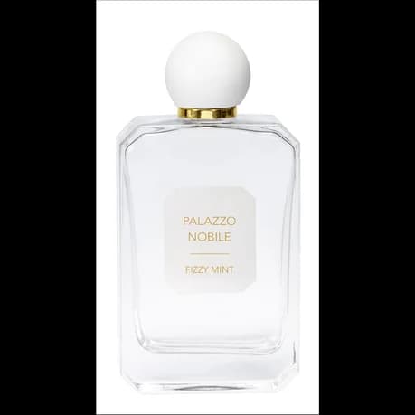 Fizzy Mint 100 ml