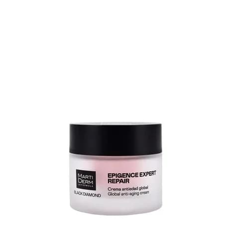 Black Diamond Epigence Expert Repair Jour
