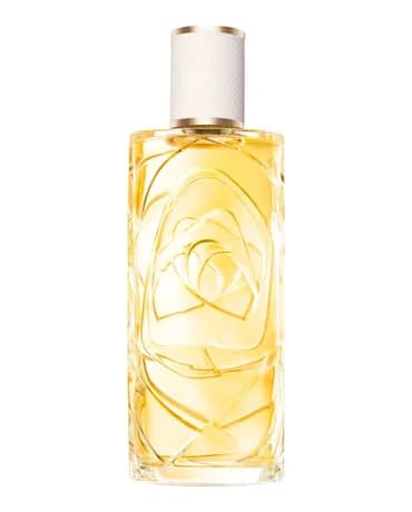 Ô Zénith 100 ml