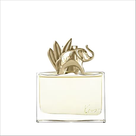 KENZO JUGLE